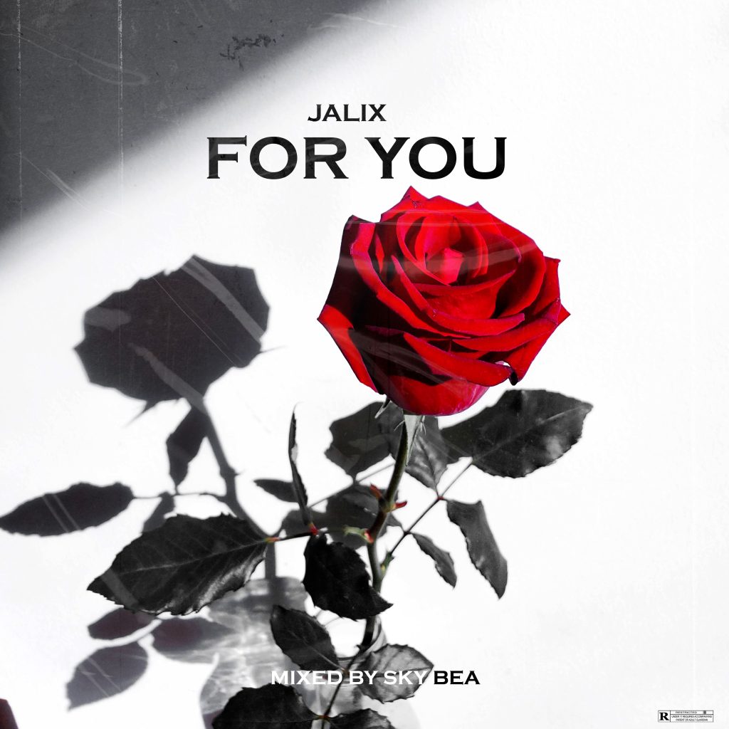 MUSIC: Jalix - For You